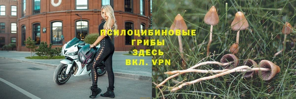 бошки Абаза